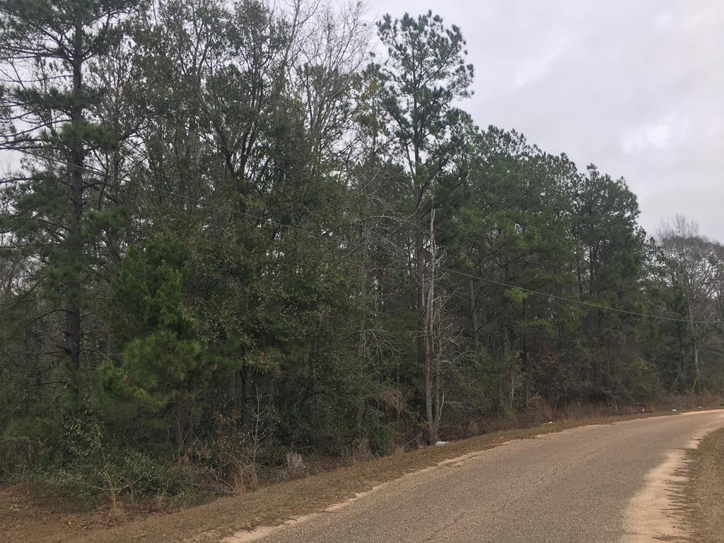 2.5 Malvern Loop Slocomb, AL 36375 - Photo 1 of 1
