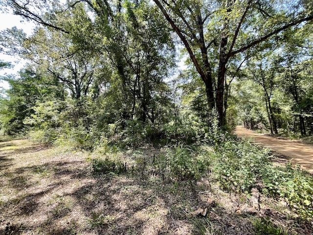 71290 Ralph Gantt Road Little River, AL 36550 - Photo 26 of 31