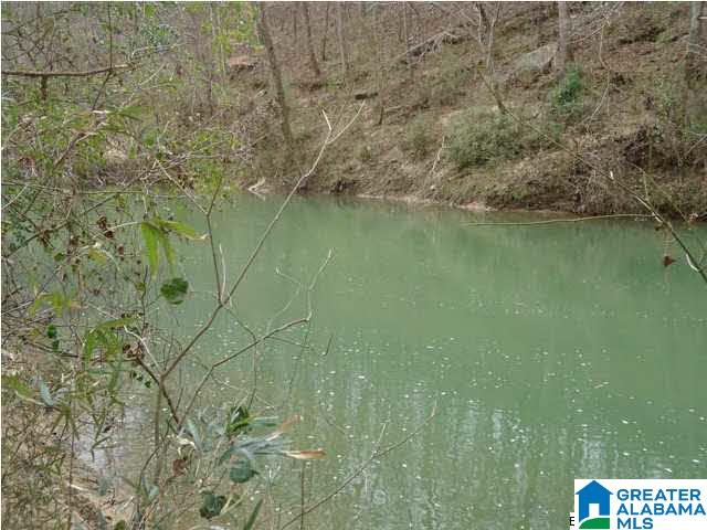 0 Riverview Drive, Unit 116 Cleveland, AL 35049 - Photo 27 of 30