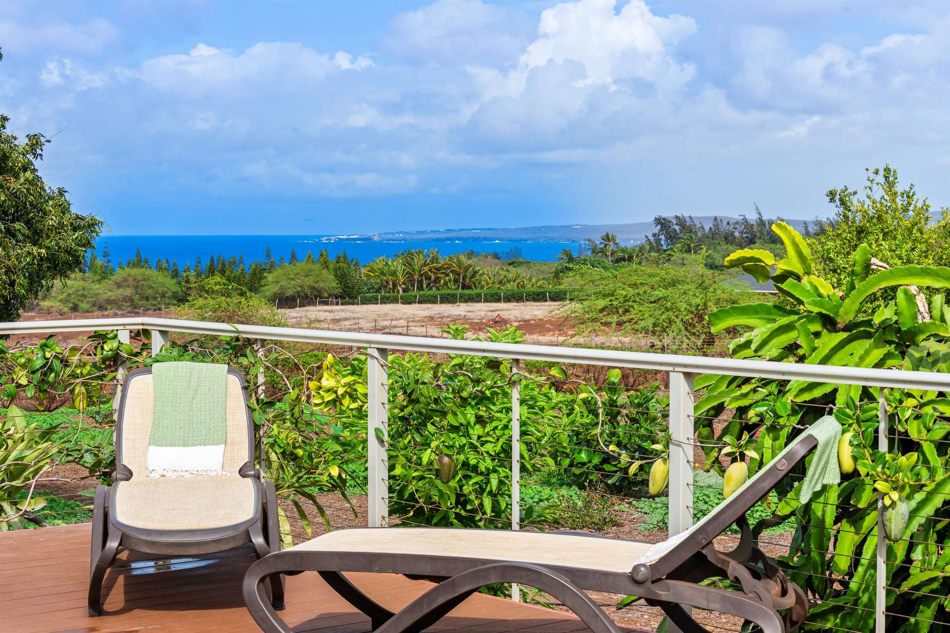 3820 Kalua Koi Road Maunaloa, HI 96770 - Photo 22 of 46