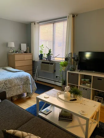 $1,495 | 541 West Oakdale Avenue, Unit 322, Chicago, IL 60657