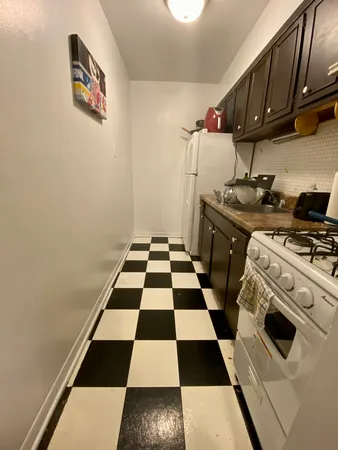 $1,495 | 541 West Oakdale Avenue, Unit 322, Chicago, IL 60657