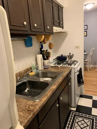 $1,495 | 541 West Oakdale Avenue, Unit 322, Chicago, IL 60657