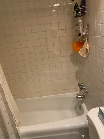 $1,495 | 541 West Oakdale Avenue, Unit 322, Chicago, IL 60657