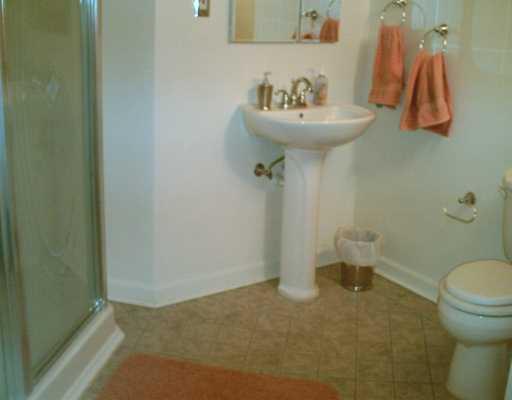 623 Blueberry Road Monroeville, PA 15146 - Photo 7 of 8 Master Bath/Spa.