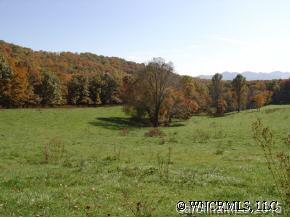 9999 Ridge Road Candler, NC 28715 - Photo 2 of 6 Gallery Image 2