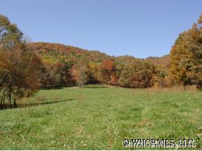 9999 Ridge Road Candler, NC 28715 - Photo 3 of 6 Gallery Image 3