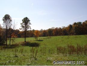 9999 Ridge Road Candler, NC 28715 - Photo 4 of 6 Gallery Image 4