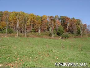 9999 Ridge Road Candler, NC 28715 - Photo 5 of 6 Gallery Image 5