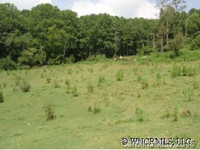 9999 Ridge Road Candler, NC 28715 - Photo 6 of 6 Gallery Image 6