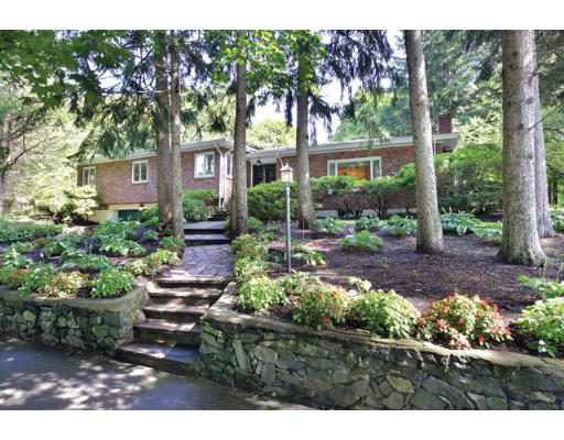 a view of a backyard with garden