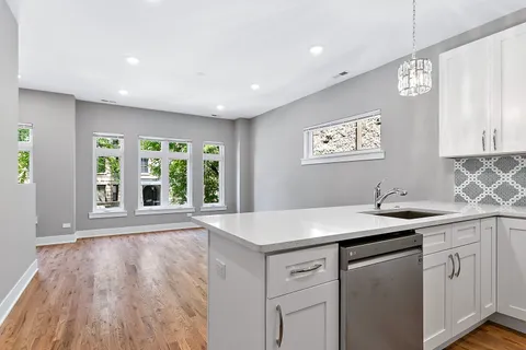 $1,225,000 | 4217 South Indiana Avenue, Chicago, IL 60653