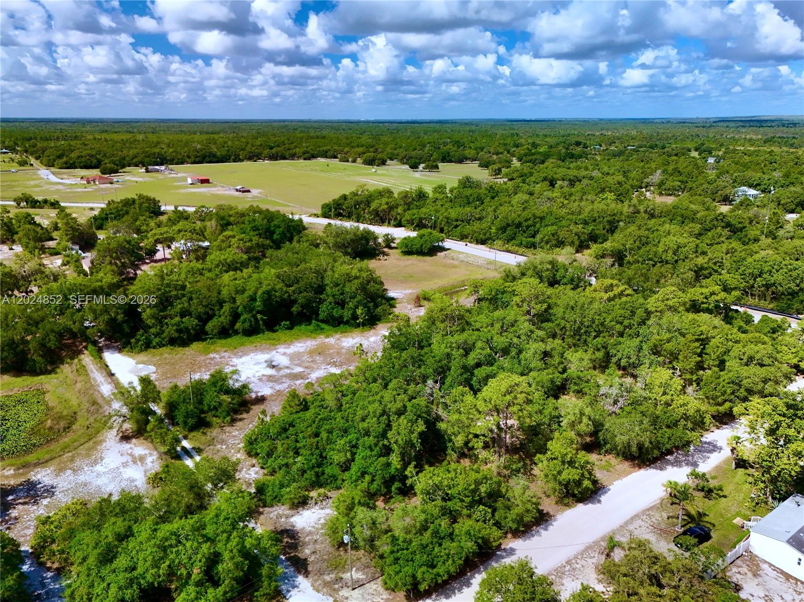 3175 Walk In Water Road Lake Wales, FL 33898 - Photo 11 of 35 a view of a garden with an ocean