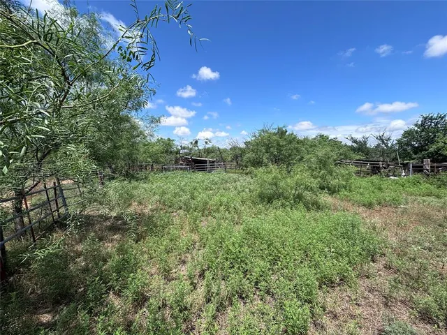 a view of a big yard with plants and a tree