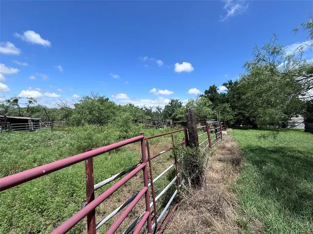 a view of a tree in the middle of a yard