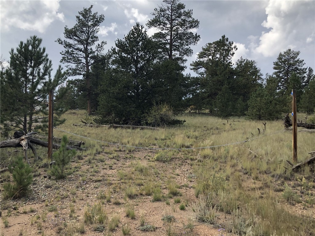 509 Signal Ridge Road Como, CO 80432 - Photo 14 of 21 Gallery Image 14