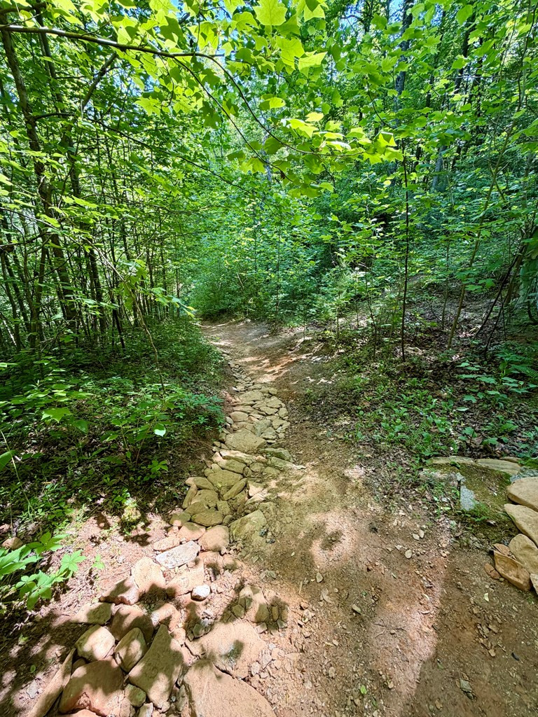 675 Ed Graves Road Murphy, NC 28906 - Photo 20 of 33