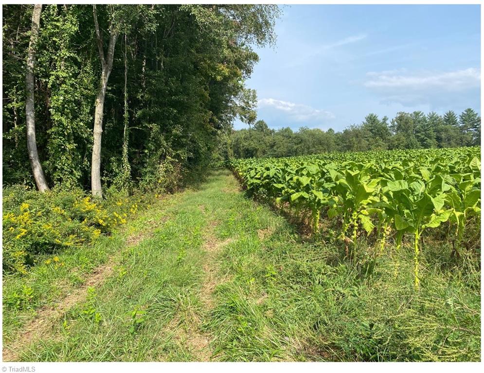 Off South Center Church Road Thurmond, NC 28683 - Photo 3 of 7