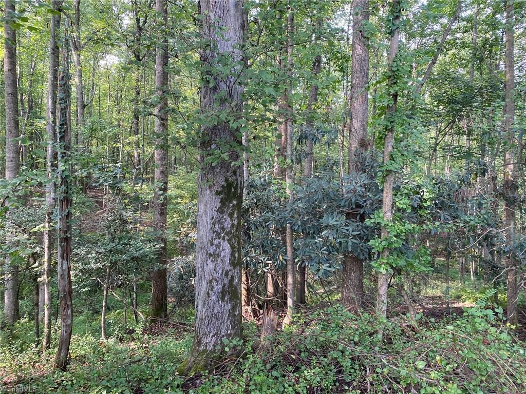 Off South Center Church Road Thurmond, NC 28683 - Photo 4 of 7