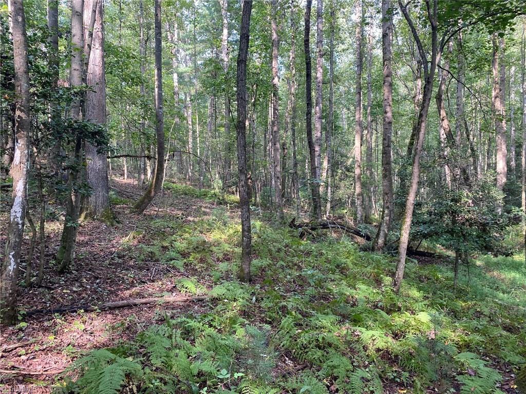 Off South Center Church Road Thurmond, NC 28683 - Photo 5 of 7