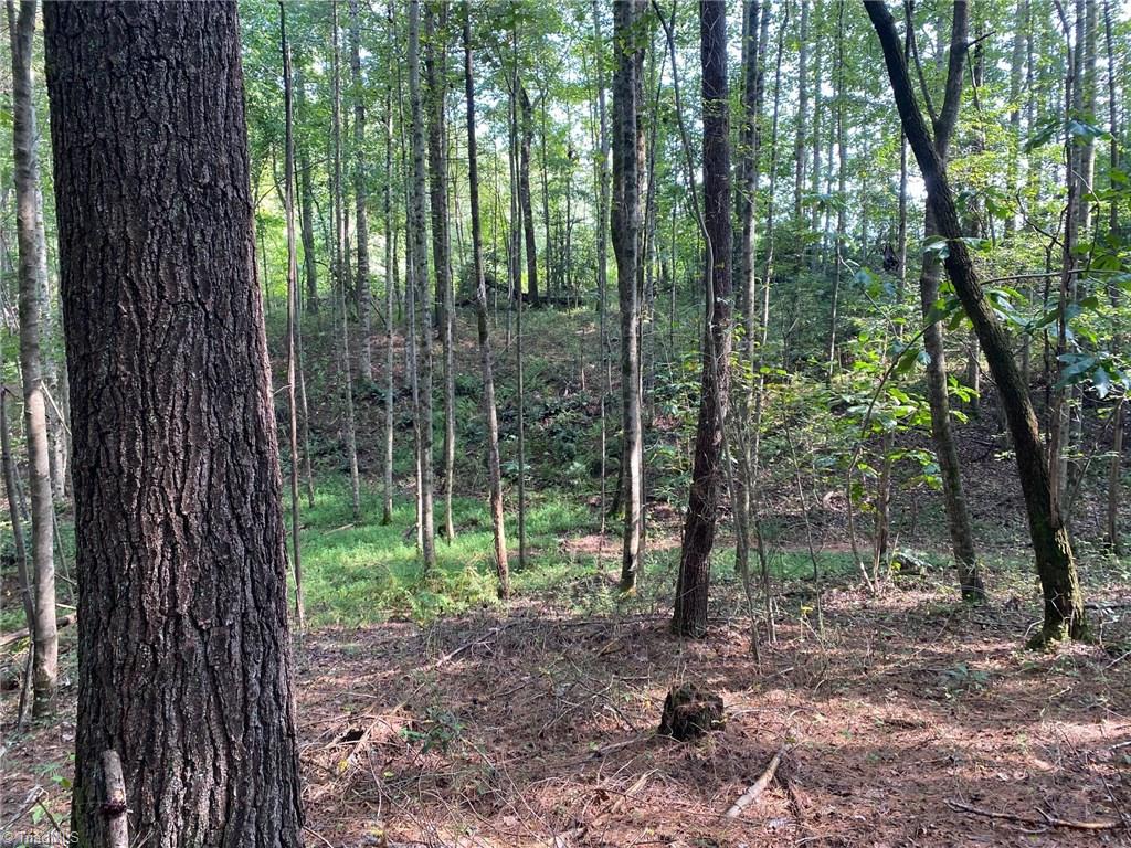 Off South Center Church Road Thurmond, NC 28683 - Photo 6 of 7