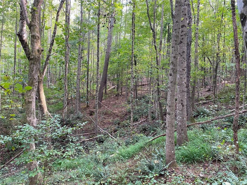 Off South Center Church Road Thurmond, NC 28683 - Photo 7 of 7