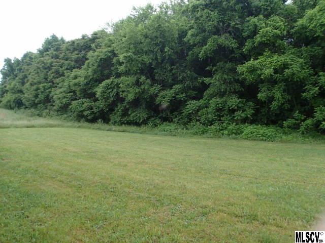 975 Lambert Road Hiddenite, NC 28636 - Photo 2 of 17