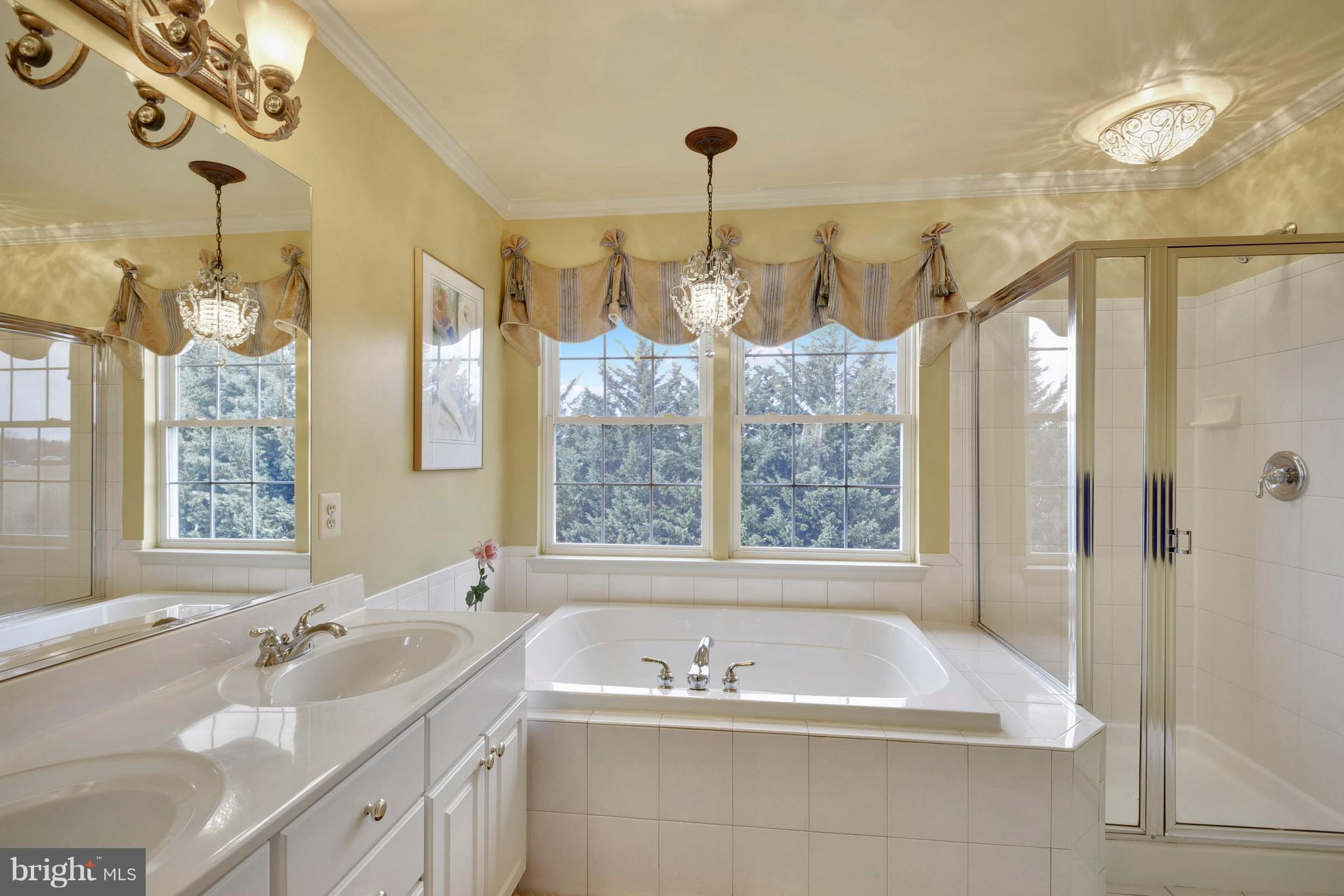 13912 Falconcrest Road Germantown, MD 20874 - Photo 19 of 30 Bath (Master)