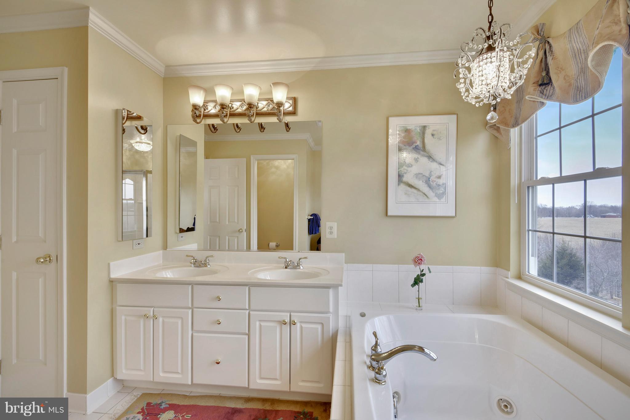 13912 Falconcrest Road Germantown, MD 20874 - Photo 20 of 30 Bath (Master)