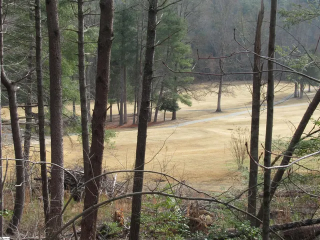 $20,000 | 110 Fireside Lane, Pickens, SC 29671