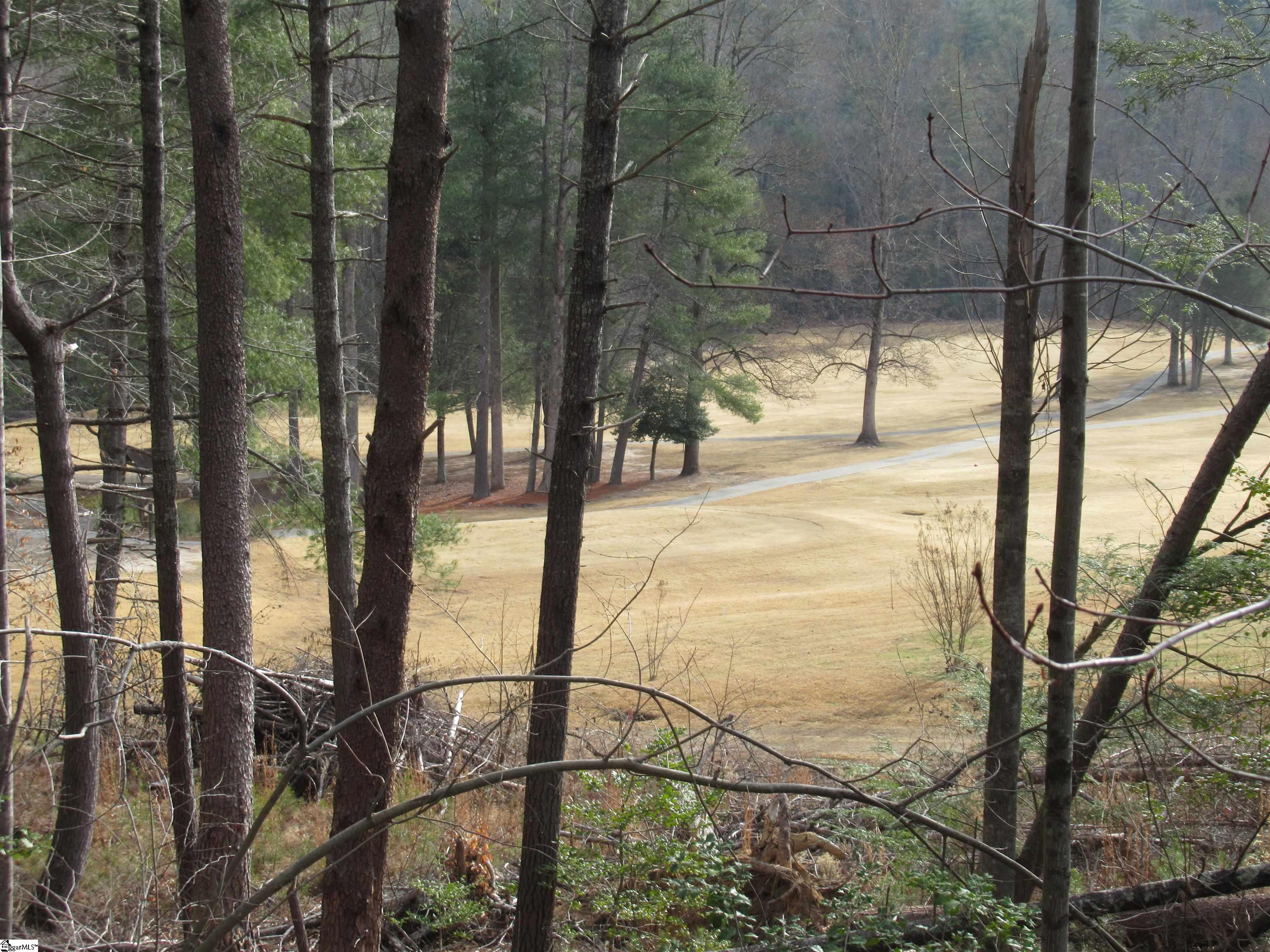 110 Fireside Lane Pickens, SC 29671 - Photo 11 of 35