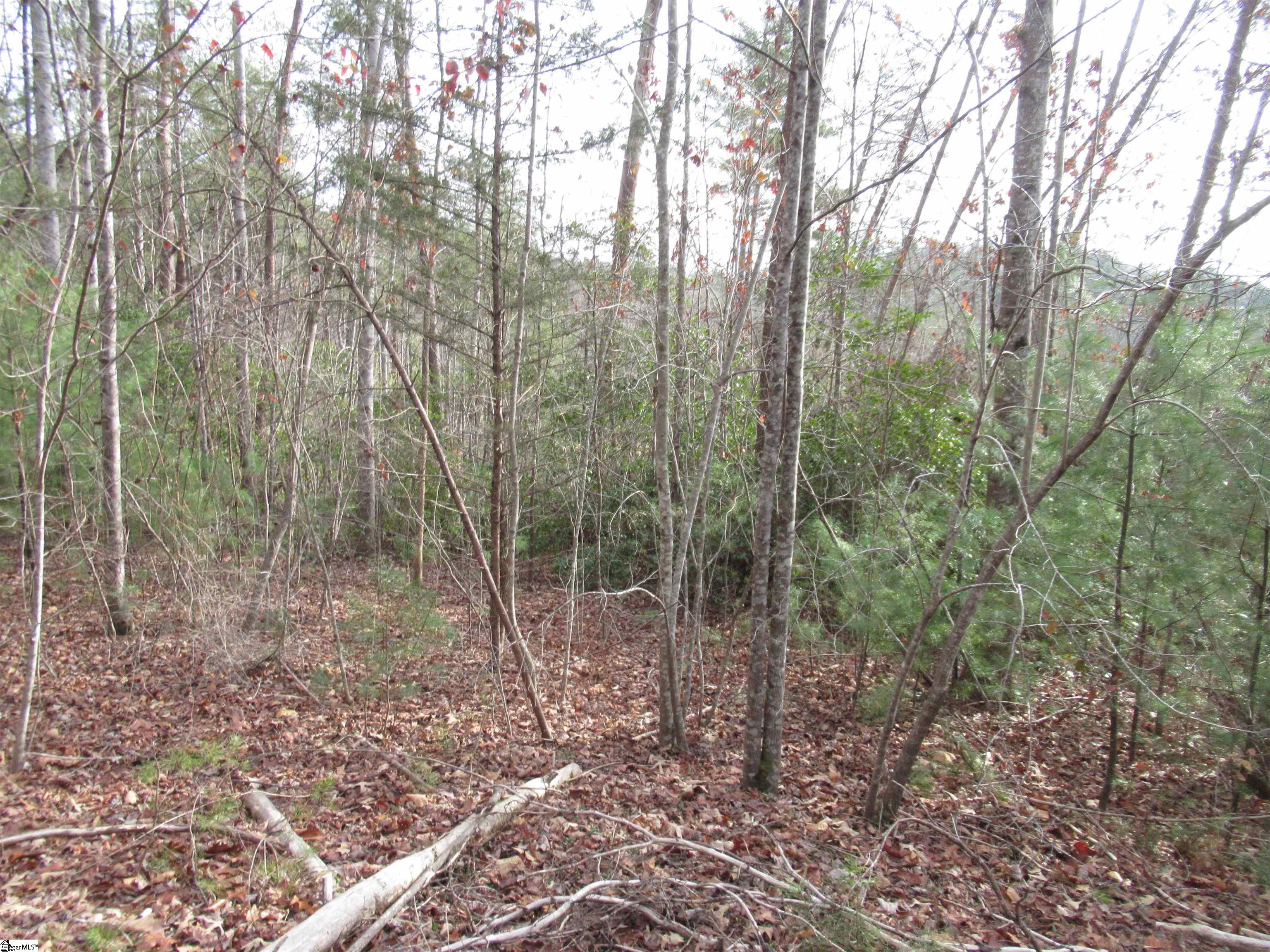 110 Fireside Lane Pickens, SC 29671 - Photo 13 of 35