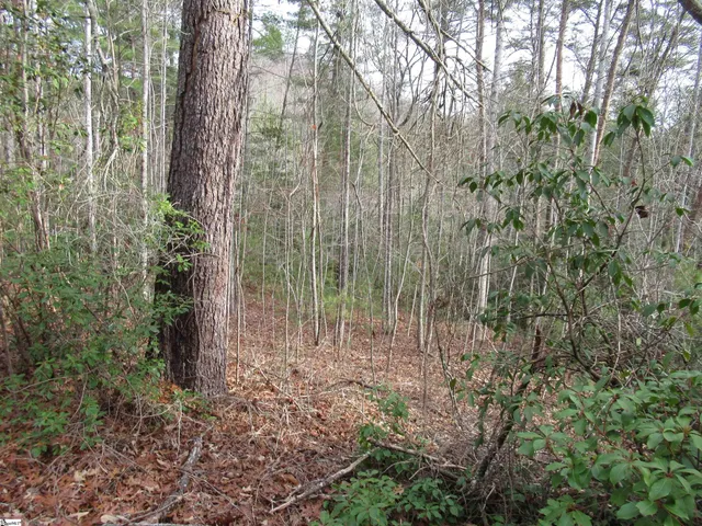 $20,000 | 110 Fireside Lane, Pickens, SC 29671