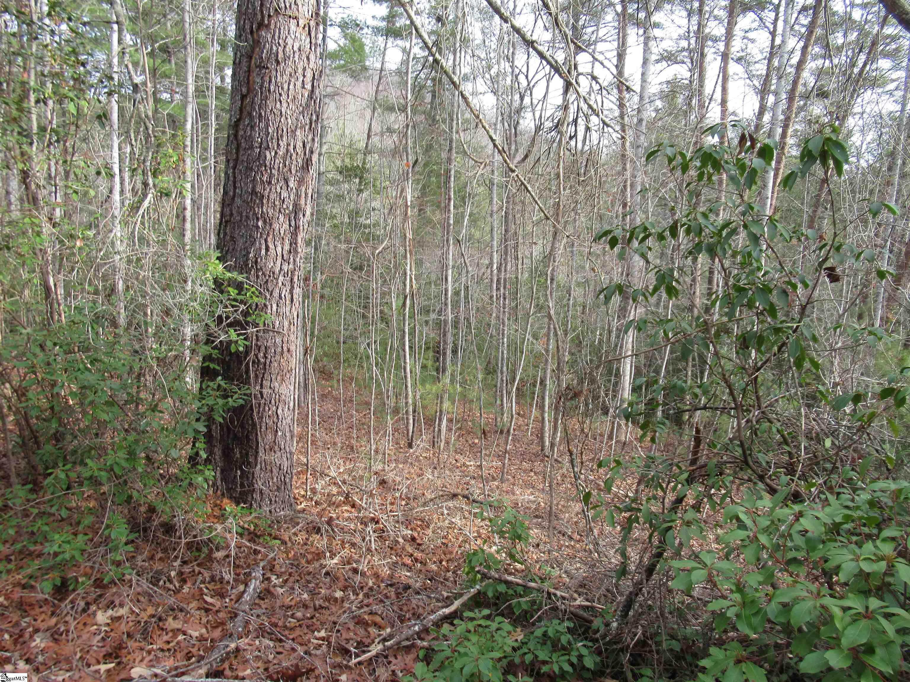 110 Fireside Lane Pickens, SC 29671 - Photo 14 of 35