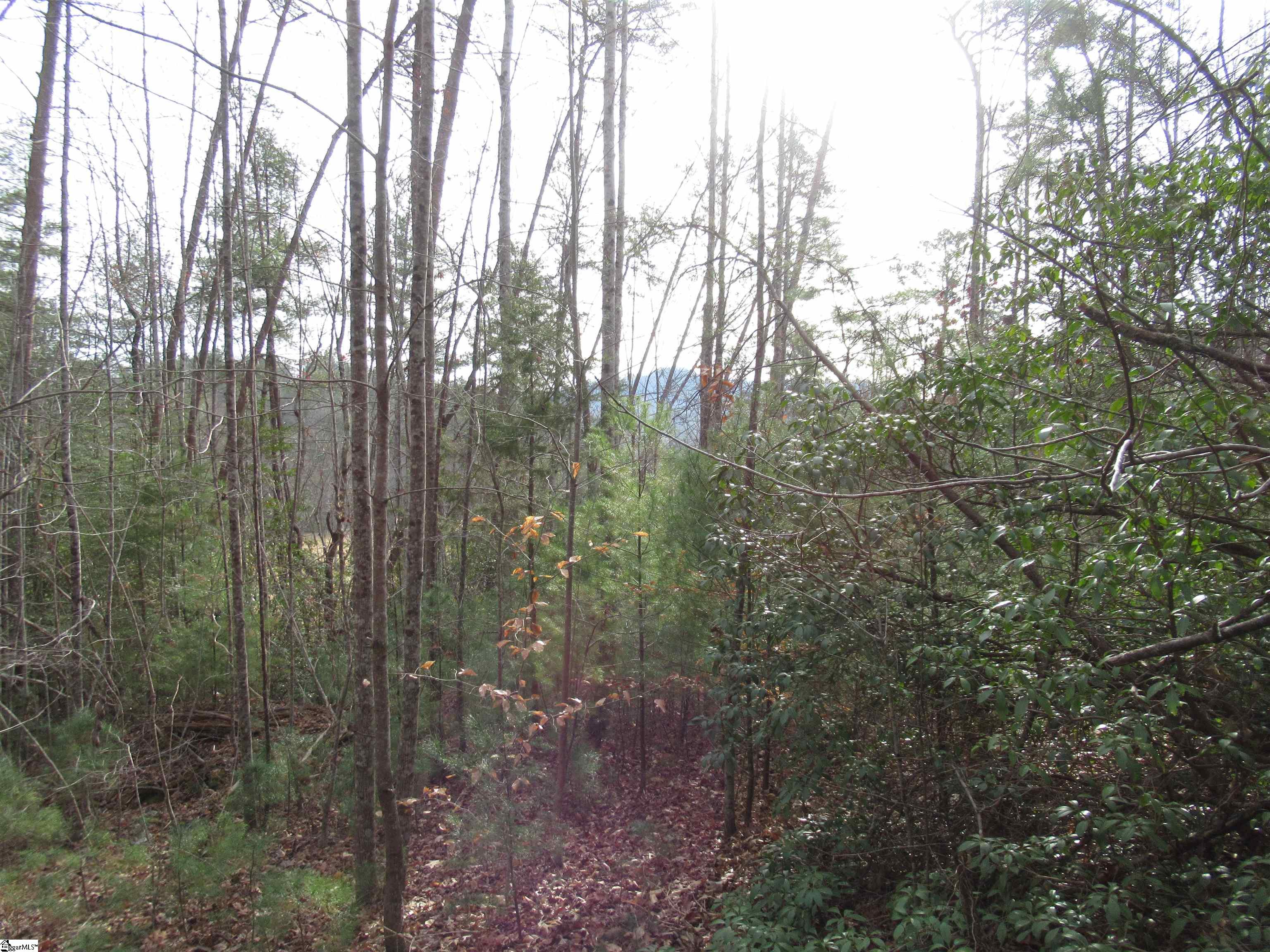 110 Fireside Lane Pickens, SC 29671 - Photo 17 of 35