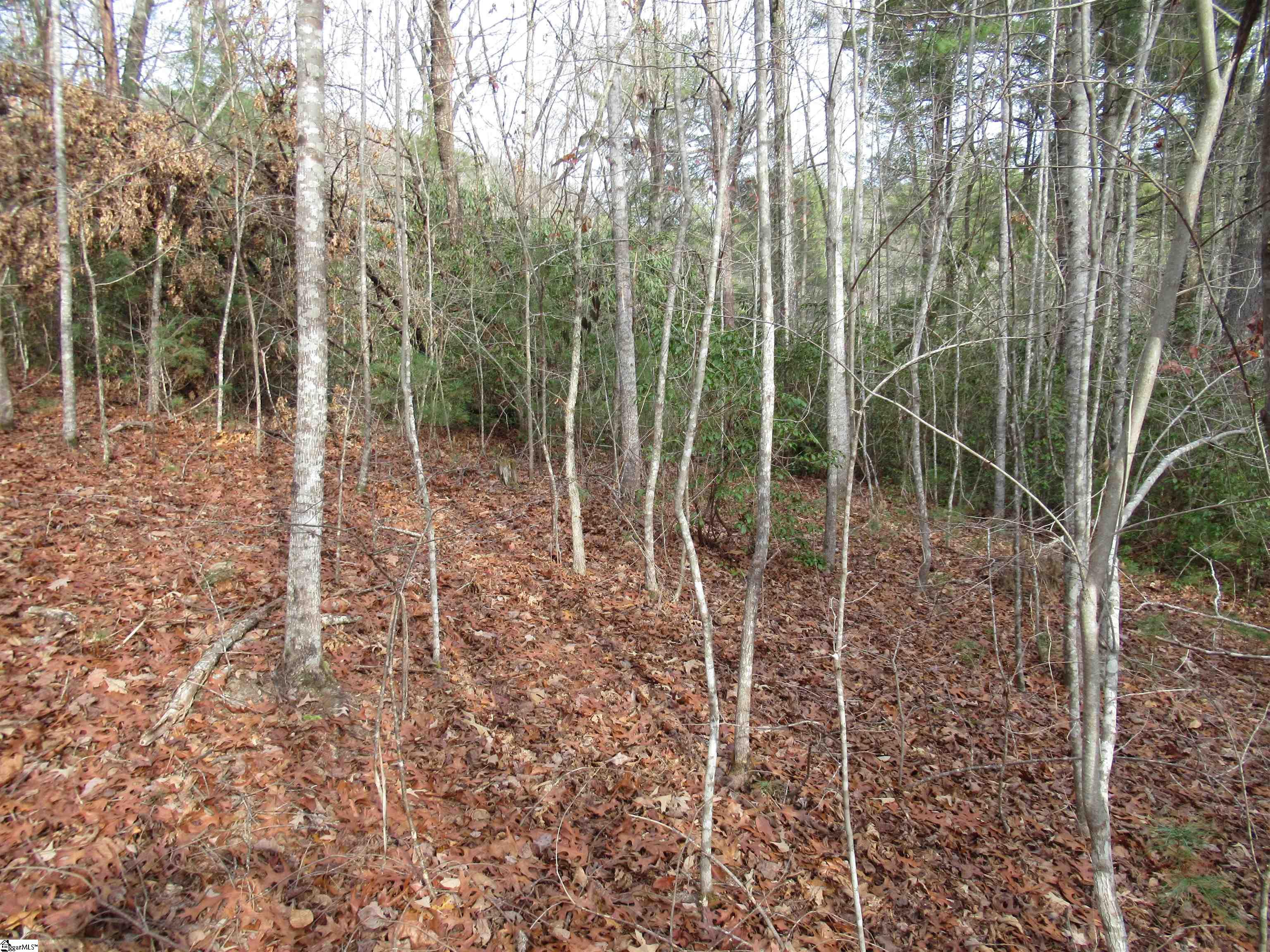 110 Fireside Lane Pickens, SC 29671 - Photo 18 of 35