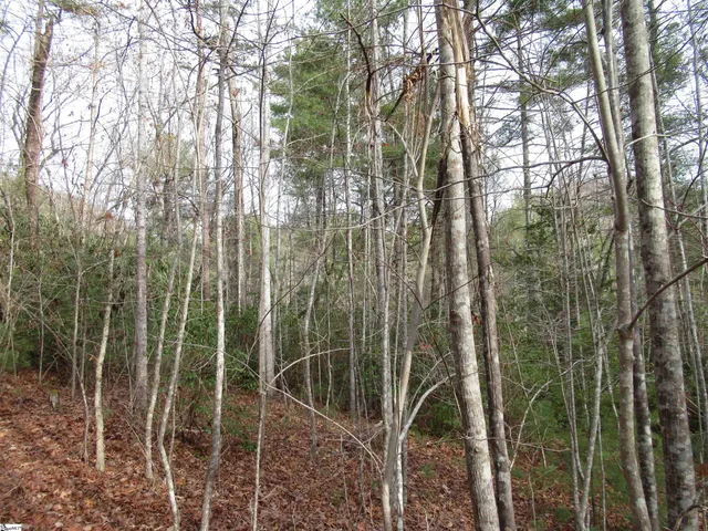 $20,000 | 110 Fireside Lane, Pickens, SC 29671