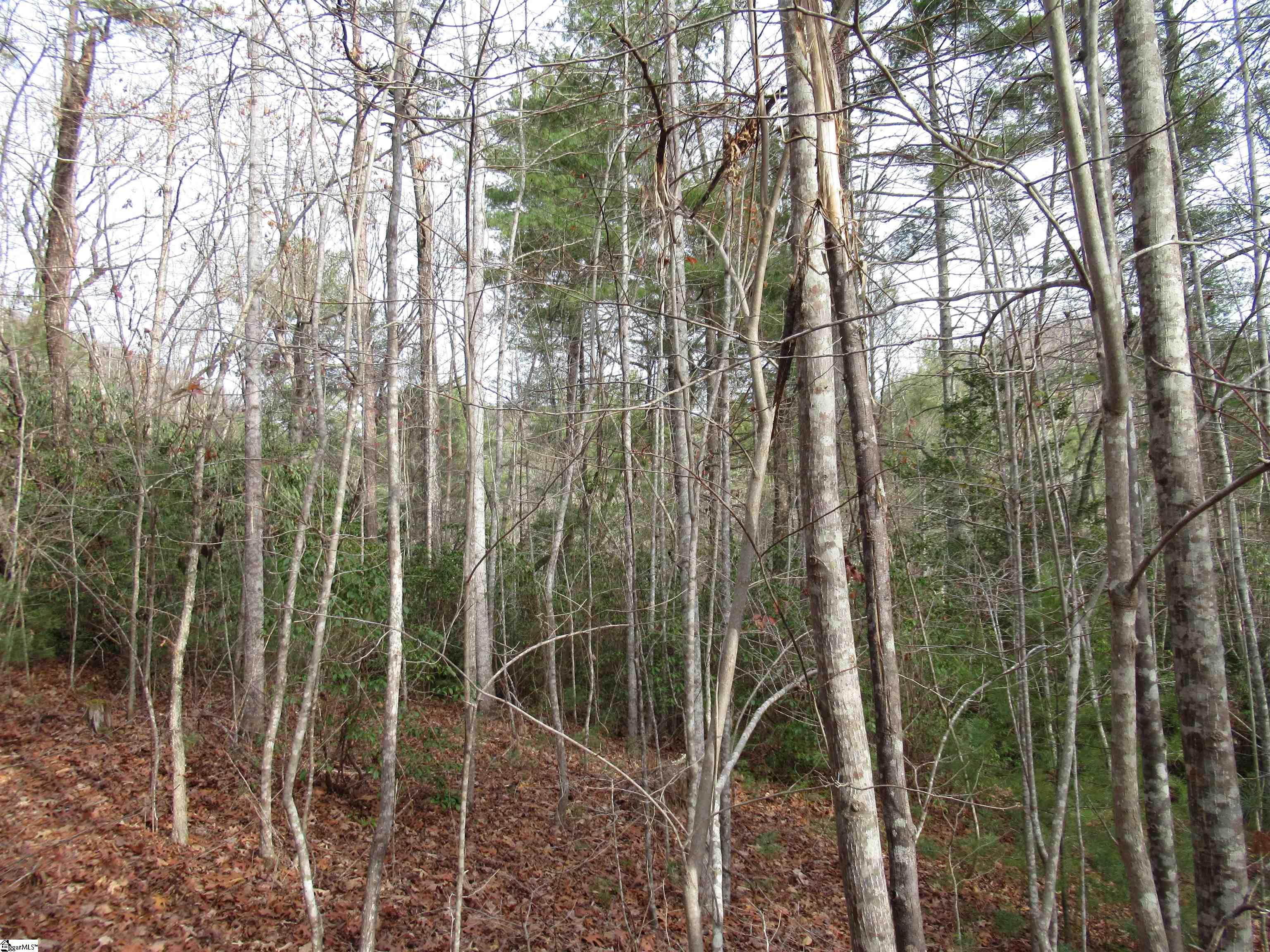 110 Fireside Lane Pickens, SC 29671 - Photo 19 of 35