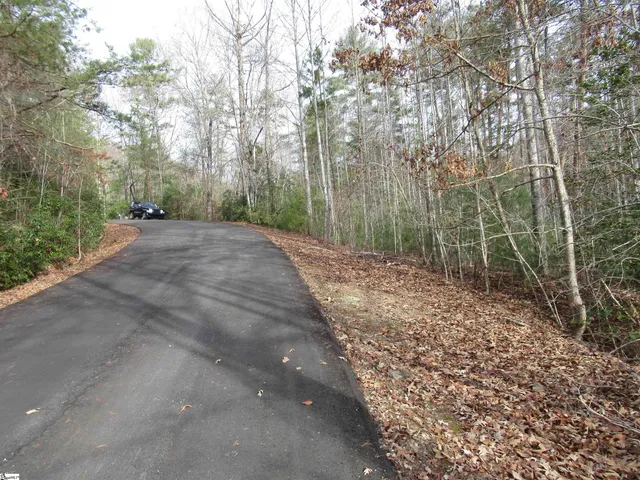 $20,000 | 110 Fireside Lane, Pickens, SC 29671