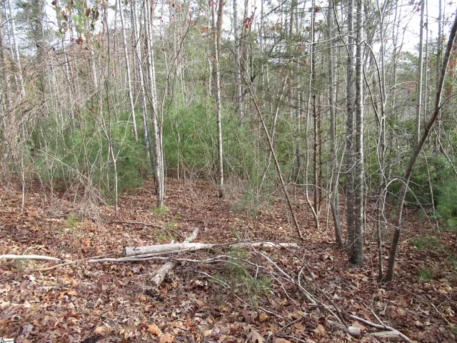 $20,000 | 110 Fireside Lane, Pickens, SC 29671