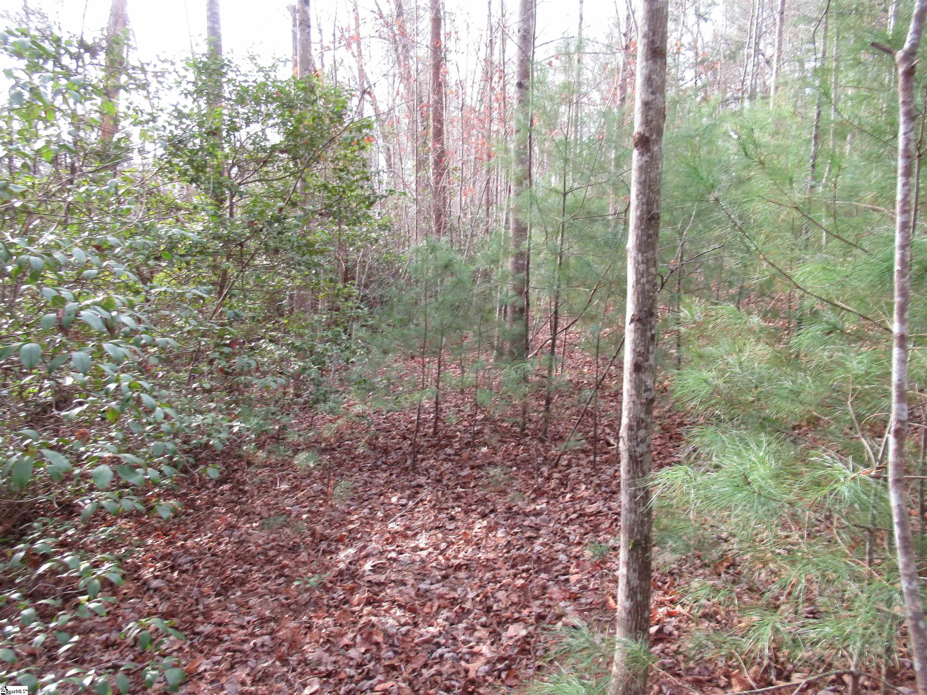 110 Fireside Lane Pickens, SC 29671 - Photo 8 of 35