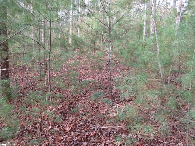 $20,000 | 110 Fireside Lane, Pickens, SC 29671