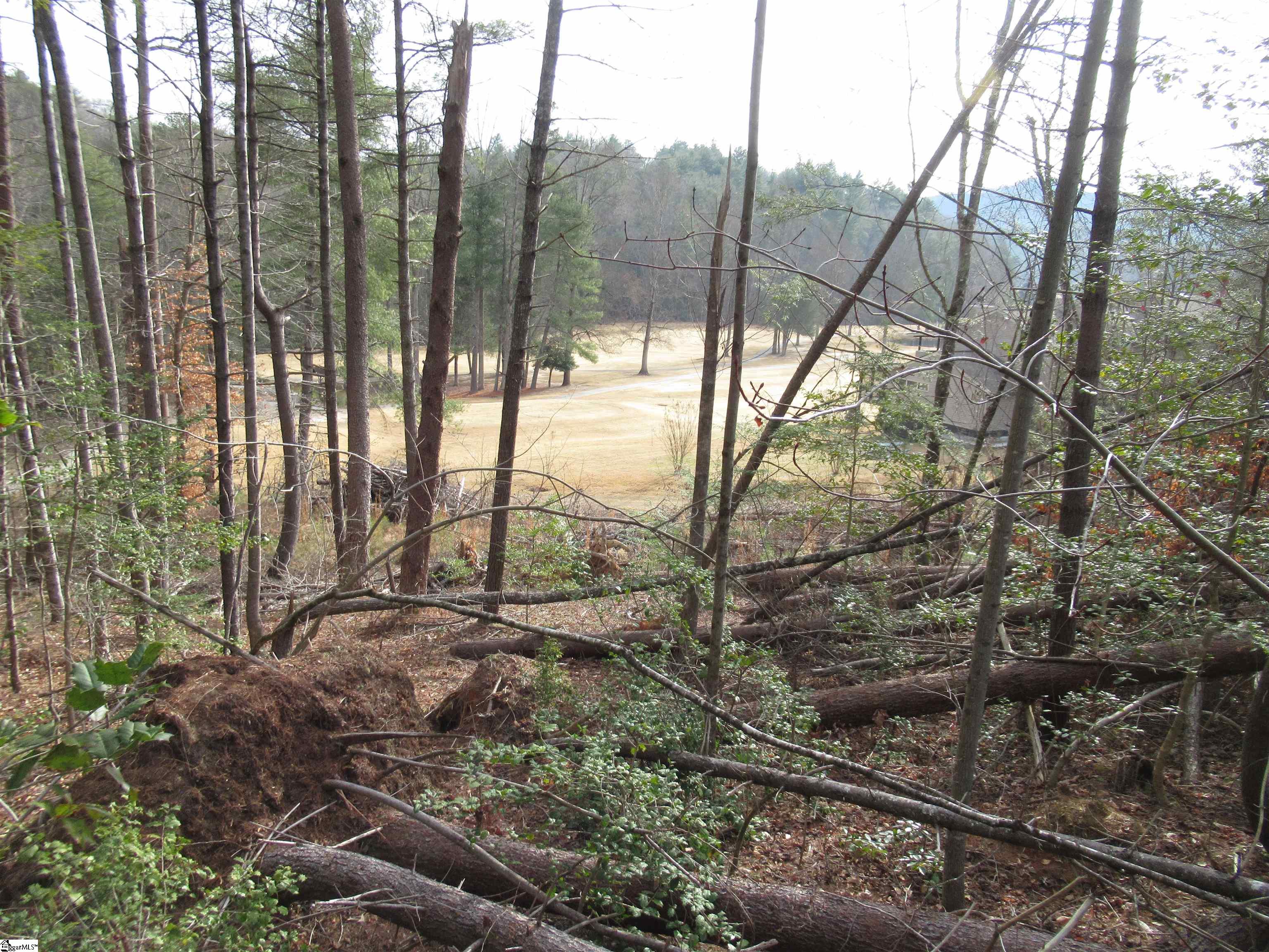 110 Fireside Lane Pickens, SC 29671 - Photo 10 of 35