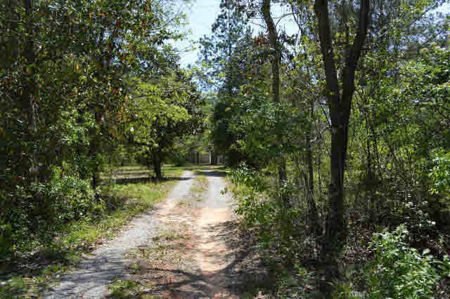 17452 Bemis Lane Elberta, AL 36530 - Photo 25 of 26