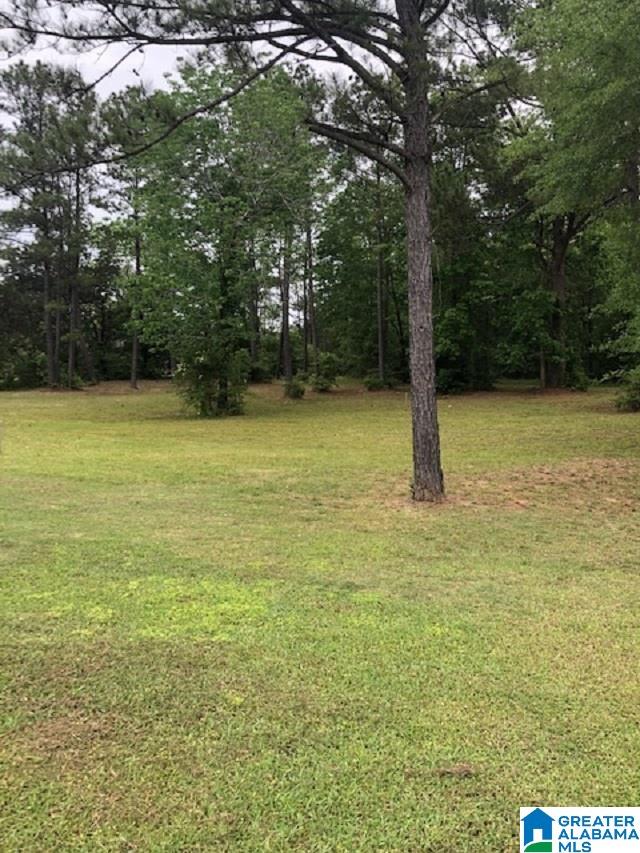 Gilead Estates Demopolis, AL 36732 - Photo 6 of 8