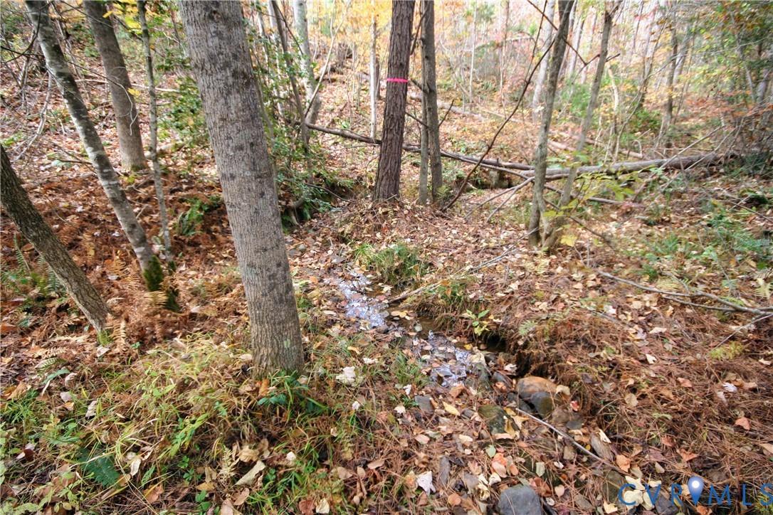 0 Ridge Road Arvonia, VA 23004 - Photo 45 of 50