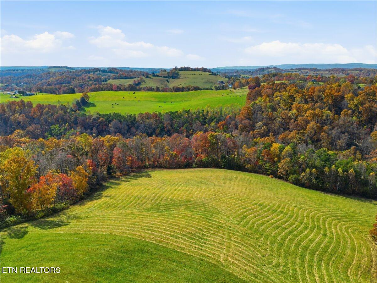 Tbd Oak Grove Church Road Harrogate, TN 37752 - Photo 4 of 21 Copy of 02-DJI_0497