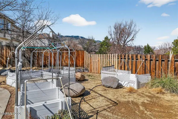 a view of backyard of house