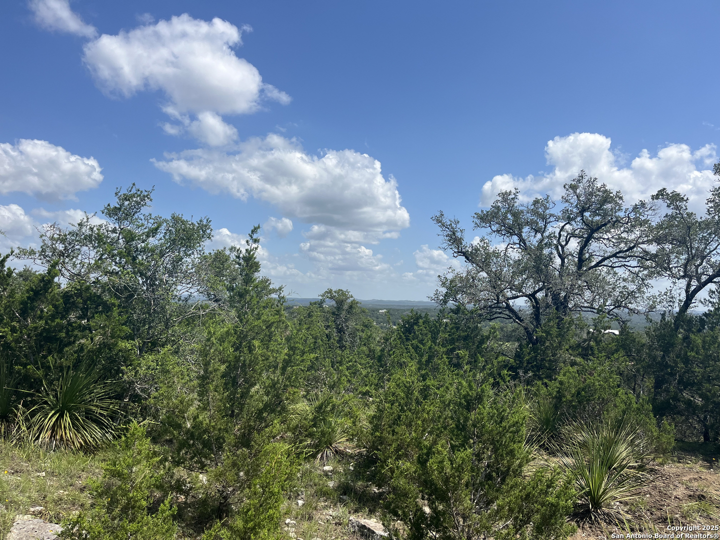 189 Cordillera Ridge Boerne, TX 78006 - Photo 18 of 33 a view of a bunch of trees