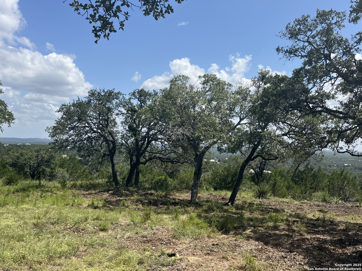 189 Cordillera Ridge Boerne, TX 78006 - Photo 23 of 33 a view of a yard with a tree